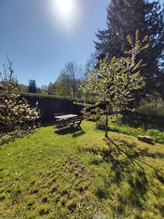 Alte Forsterei Altenbrak Exterior foto